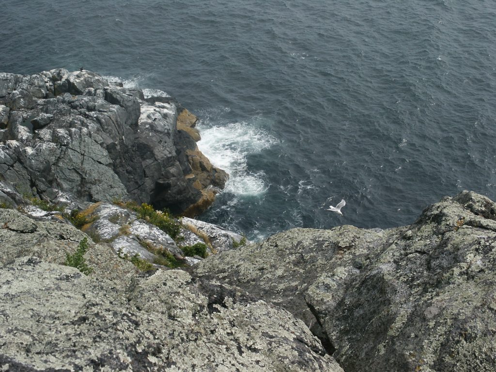 plan-your-visit-welcome-to-monhegan