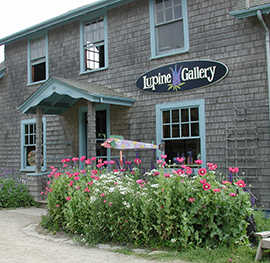 Lupine Gallery